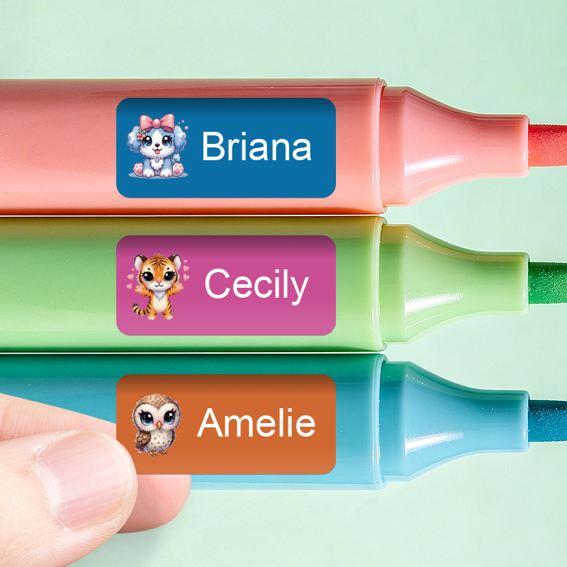 Personalized Name Stickers - C - Personalized Name Box 评论和价格